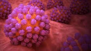 norovirus? Norovirus is the leading cause